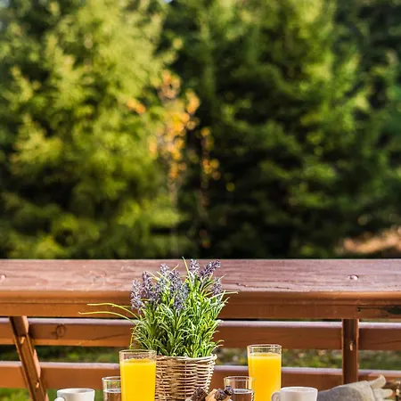 Moura Mountain & Spa 4* Borovets